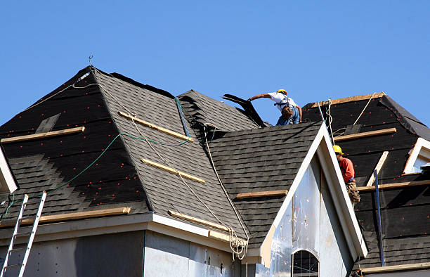 Best Roof Maintenance and Cleaning  in Ithaca, MI