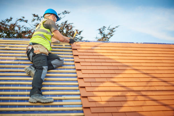 Best Roof Moss and Algae Removal  in Ithaca, MI